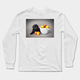 Labrador retriever puppy Long Sleeve T-Shirt